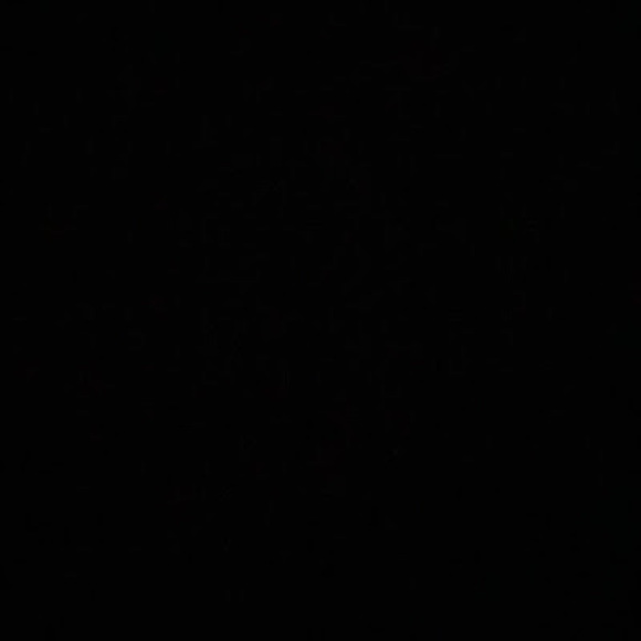 Meet your Posher, Rico - Picture 1 of 1